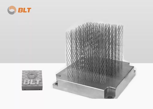 成人之 鎂 鉑力特助力清華大學(xué)新材料研究
