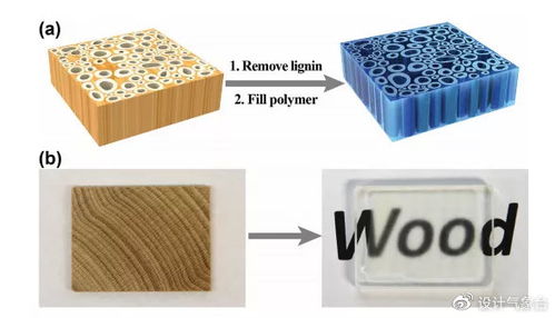 可替代玻璃的透明木材 強(qiáng)度超過(guò)鋼的竹材料,你見(jiàn)過(guò)嗎