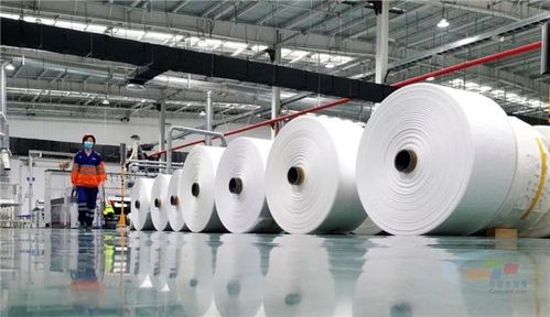 百年華新書(shū)寫(xiě)新時(shí)代奮進(jìn)樂(lè)章