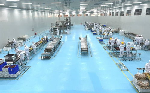 春節(jié)堅(jiān)果零食卷出新高度,新疆大堅(jiān)果疆果果靠 大 出圈