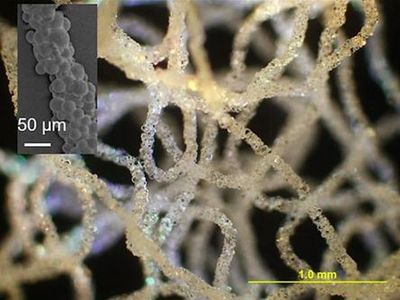 科學(xué)家研發(fā)出用于生物醫(yī)學(xué)的3D打印硅膠技術(shù)